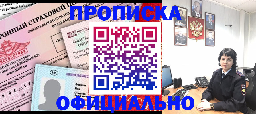 пропишу в квартире в Светлогорске